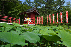 四季折々の風景