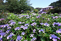 四季折々の風景