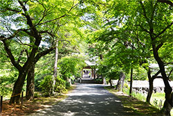 四季折々の風景